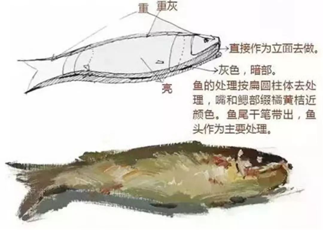 色彩静物单体怎样刻画才更好看