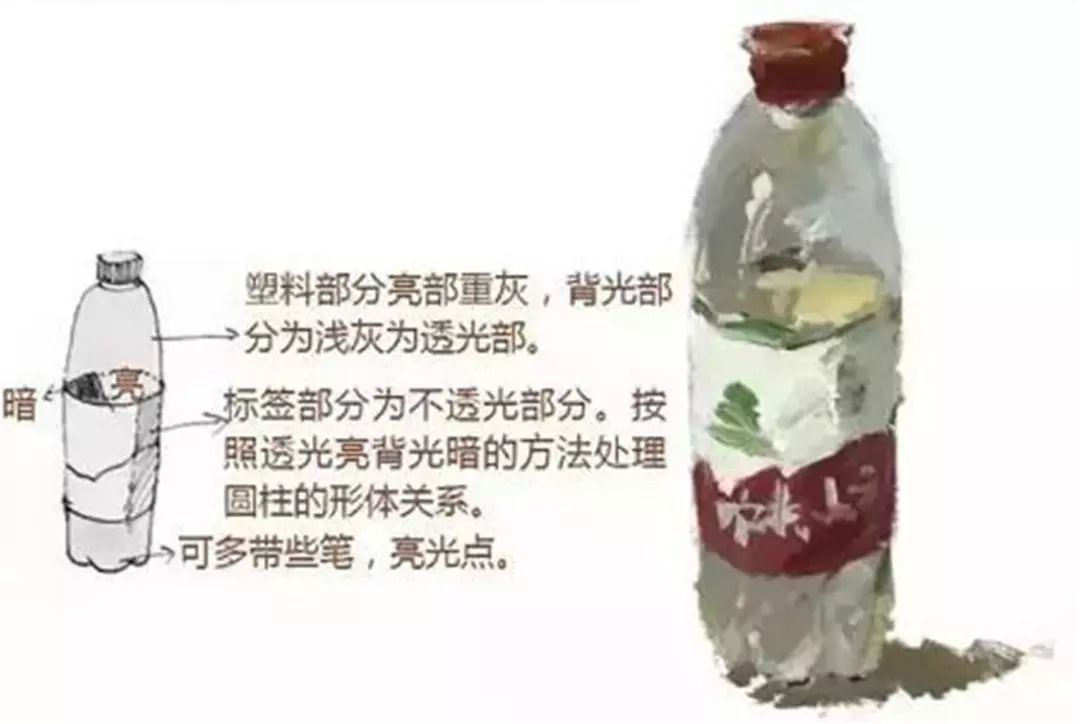 色彩静物单体怎样刻画才更好看
