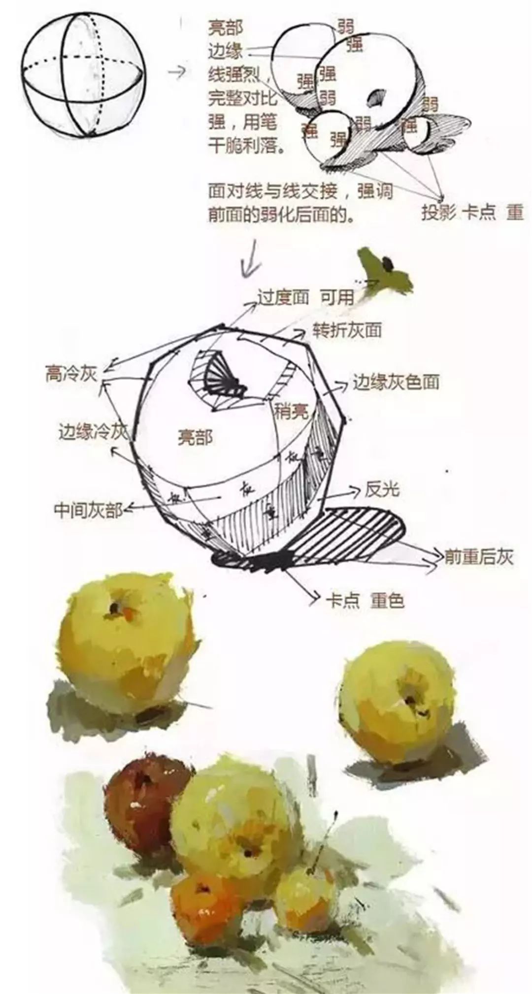 色彩静物单体怎样刻画才更好看