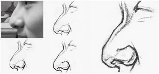 人物速写中鼻子的表现技法